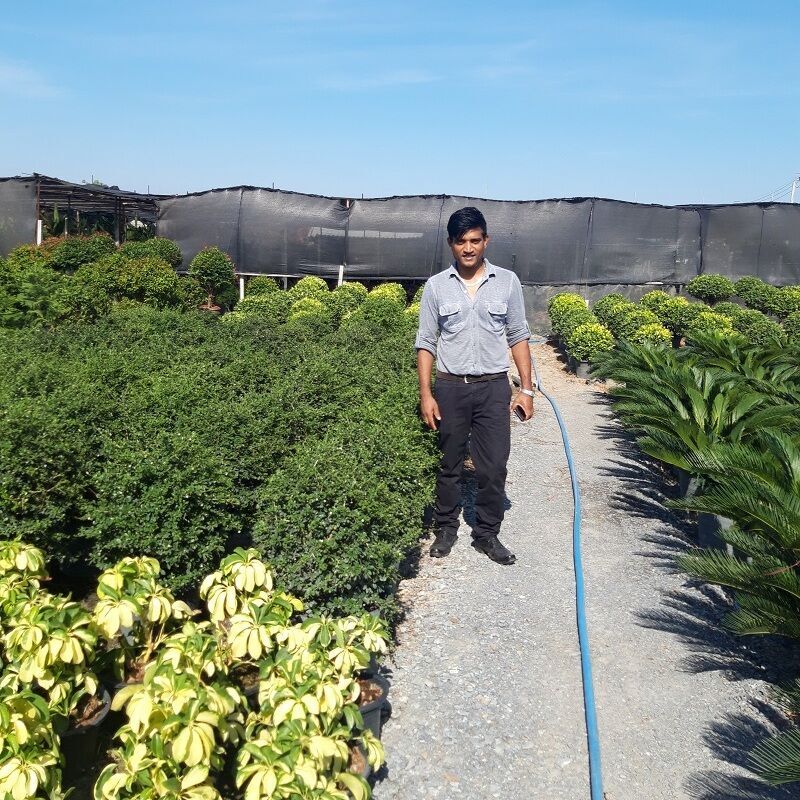 project the garden manager from qatar visit nusery garden